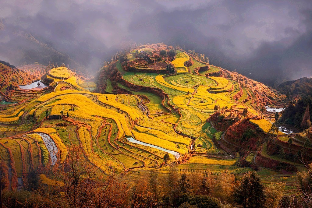 浙里有座藏在大山里的小香港，低调得让人心疼，高铁2h即达！