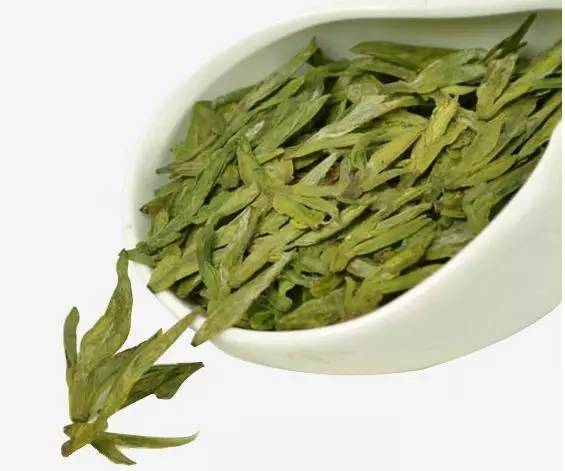 茶友茶叶品鉴,雁荡毛峰茶文化节