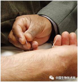 电针可以刺激神经再生吗,间充质干细胞对损伤的修复