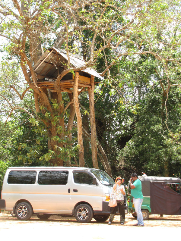 斯里兰卡个人旅游攻略,斯里兰卡华人旅游攻略视频