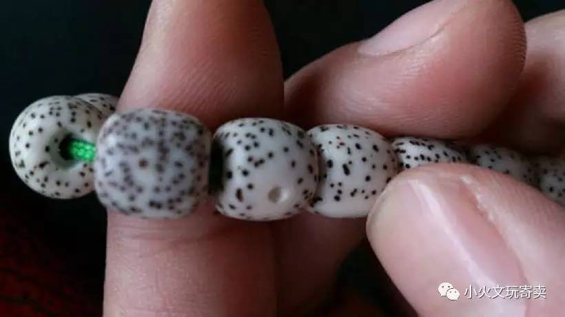 分享买过的菩提,两年多星月菩提有点花