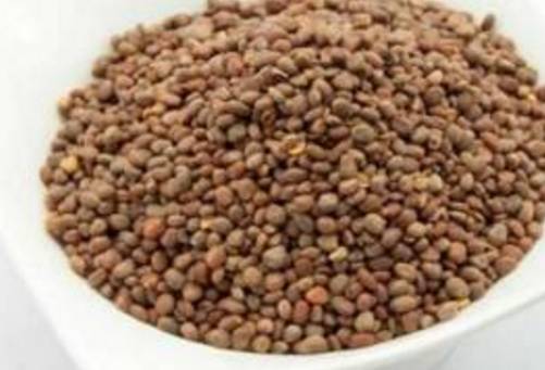 降三高减肥吃什么药,降三高消斑块中药配方