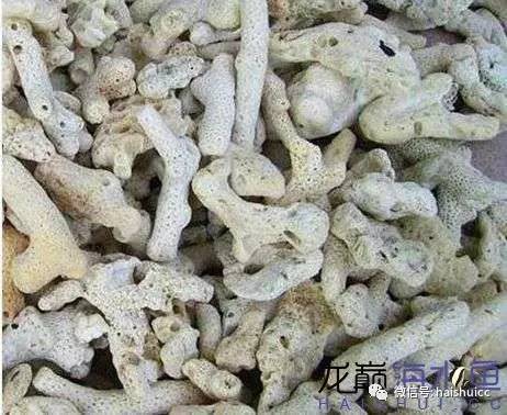 whatsapp显示版本过低,ph不超过1.8的原因