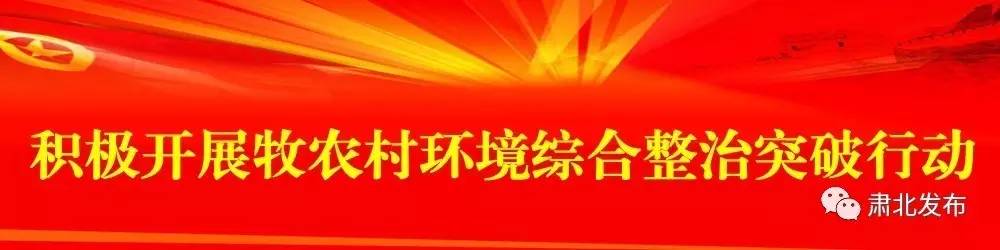 全市基层党建观摩圆满成功,基层党建观摩交流