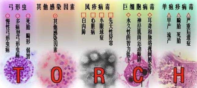怀孕如何避免致畸因素,想生孩子怕有风险怎么办