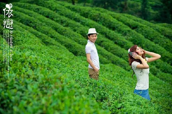 推荐一下成都拍婚纱照的地方,成都几月份拍婚纱照比较好