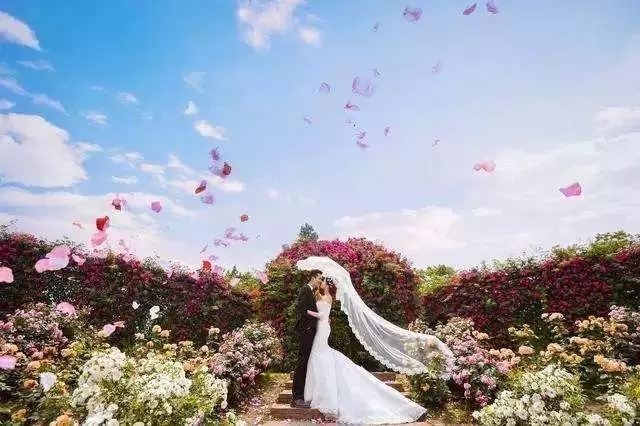 推荐一下成都拍婚纱照的地方,成都几月份拍婚纱照比较好