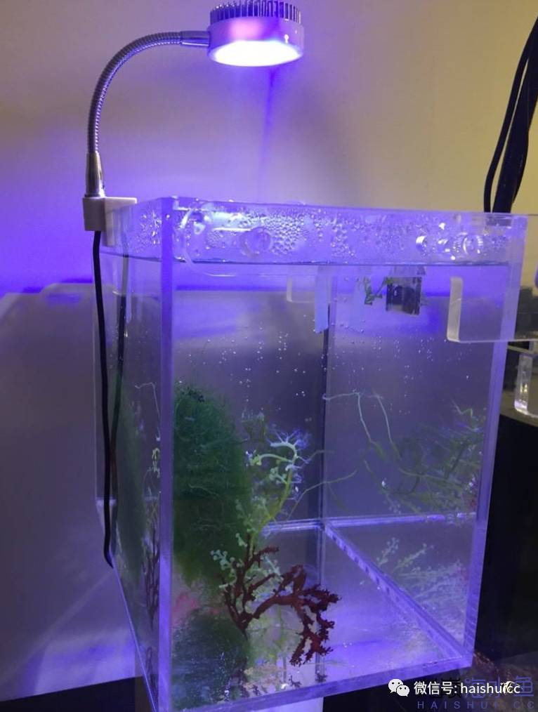 whatsapp显示版本过低,ph不超过1.8的原因