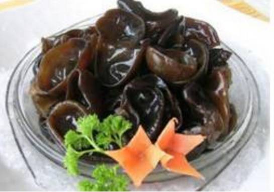 降三高减肥吃什么药,降三高消斑块中药配方