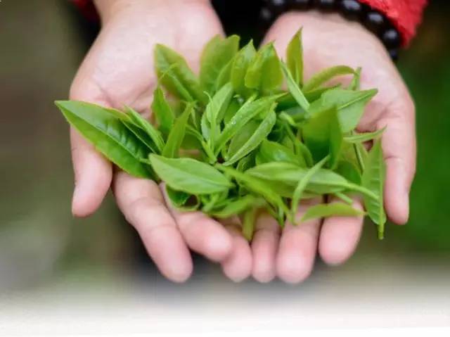 「关注」在太空遨游是一种怎样的体验？听听英德红茶是怎么说的