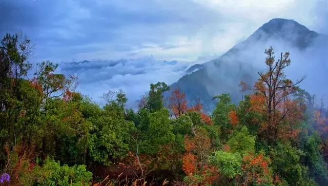 大茅山丨我们不只是红