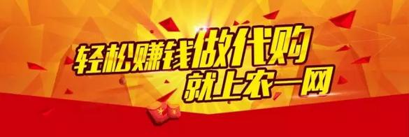 农资村级合伙人模式,农资企业合伙人模式设计方案