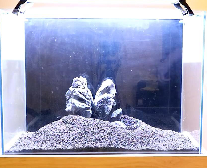 怎么会让水草泥不滑坡,水草泥防止滑坡