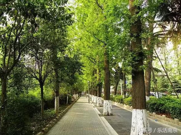 南京莫愁湖公园免费,南京免费公园免费开放日一览表