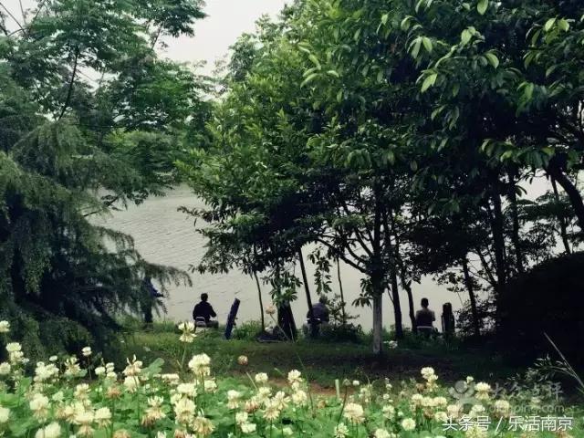 南京莫愁湖公园免费,南京免费公园免费开放日一览表