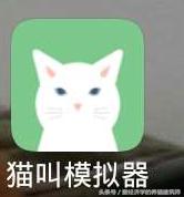 可以学猫叫的模拟器,猫叫模拟器下载安装