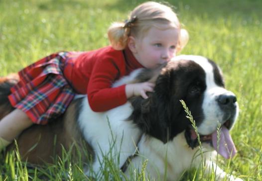 狗狗乱拉乱尿太臭了怎么办,狗狗乱拉乱尿是什么原因
