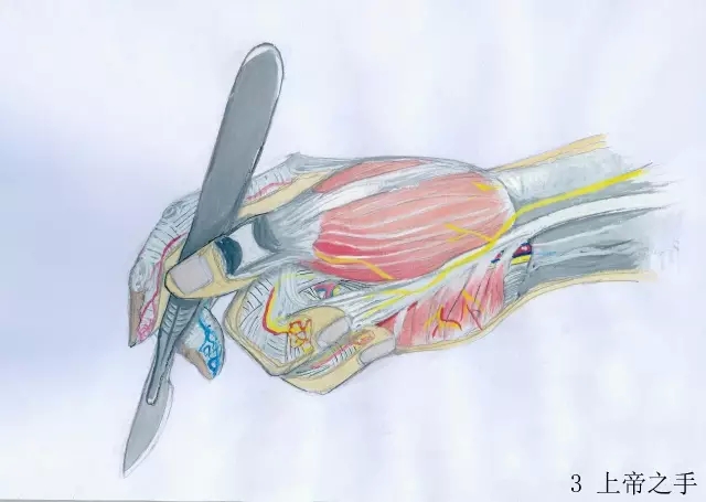 正所谓画骨画皮也画心,画皮画骨还画心