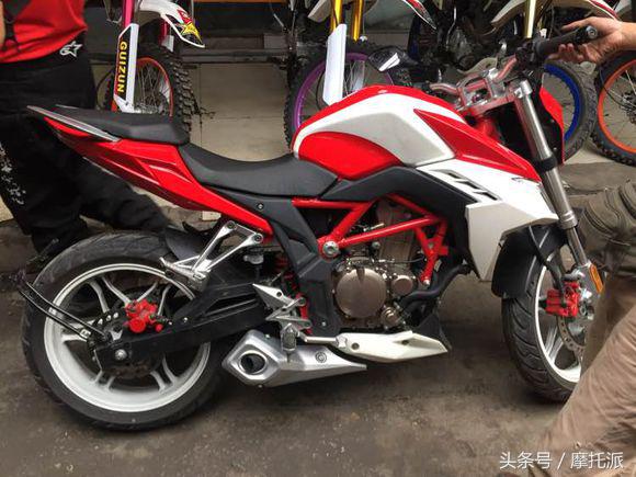 隆鑫300最新视频,隆鑫300