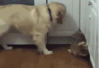 男人惹女生生气的高情商句子,男人故意惹你生气刺激你的表现