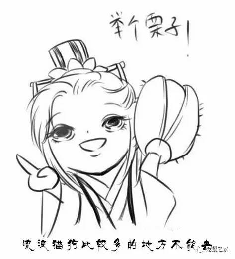 荷兰猪外出郊游，操心的事太多，其实只要做到这几点就可以了