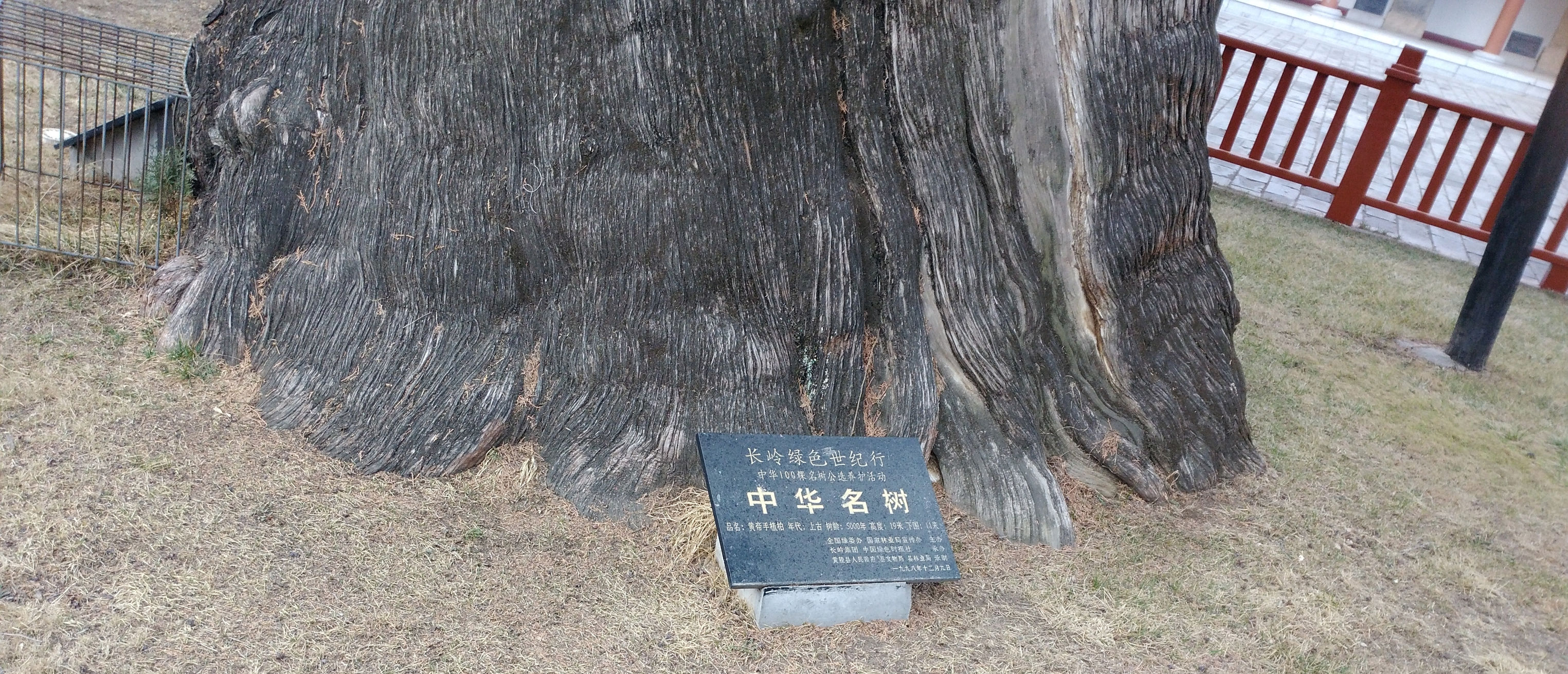 黄帝陵天下第一陵国务院古墓编号,黄帝陵天下第一陵图片