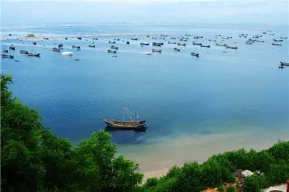 海参十大产地排名,大连隆品堂海参产地是哪里