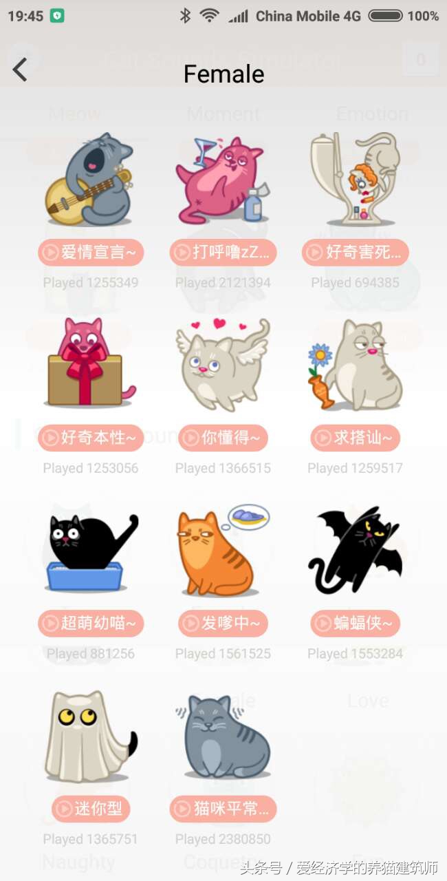 可以学猫叫的模拟器,猫叫模拟器下载安装
