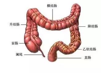 结直肠癌术后该怎么定期检查,结直肠癌出现便秘该怎么办