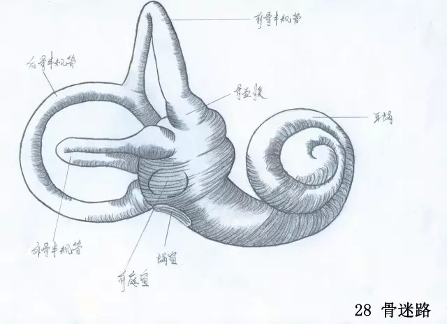 正所谓画骨画皮也画心,画皮画骨还画心
