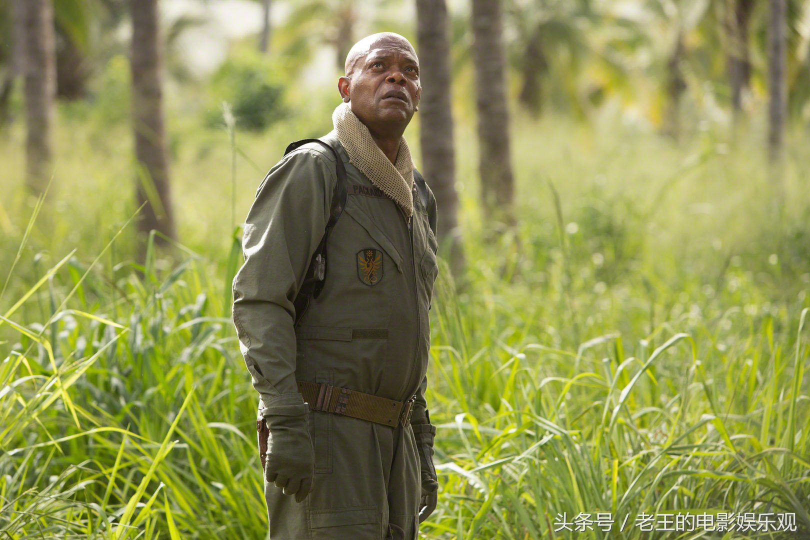 金刚景甜片段,景甜在金刚里的片段