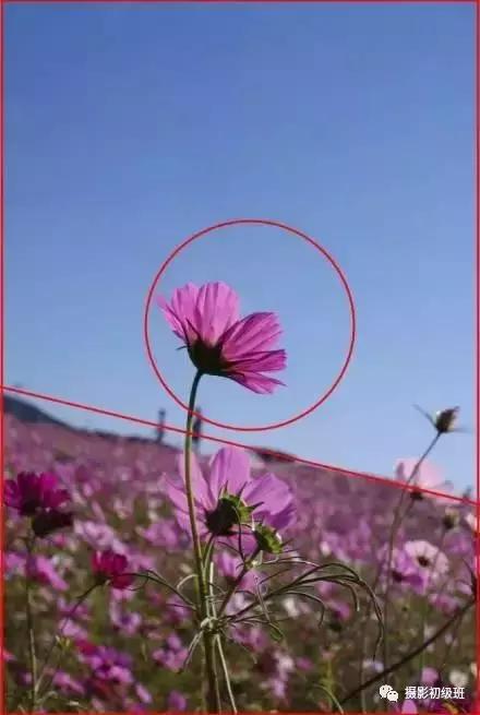 摄影新手必学的20种基础构图,摄影11种构图技巧