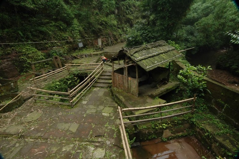 邛崃芦沟竹海新闻,邛崃平乐古镇竹海