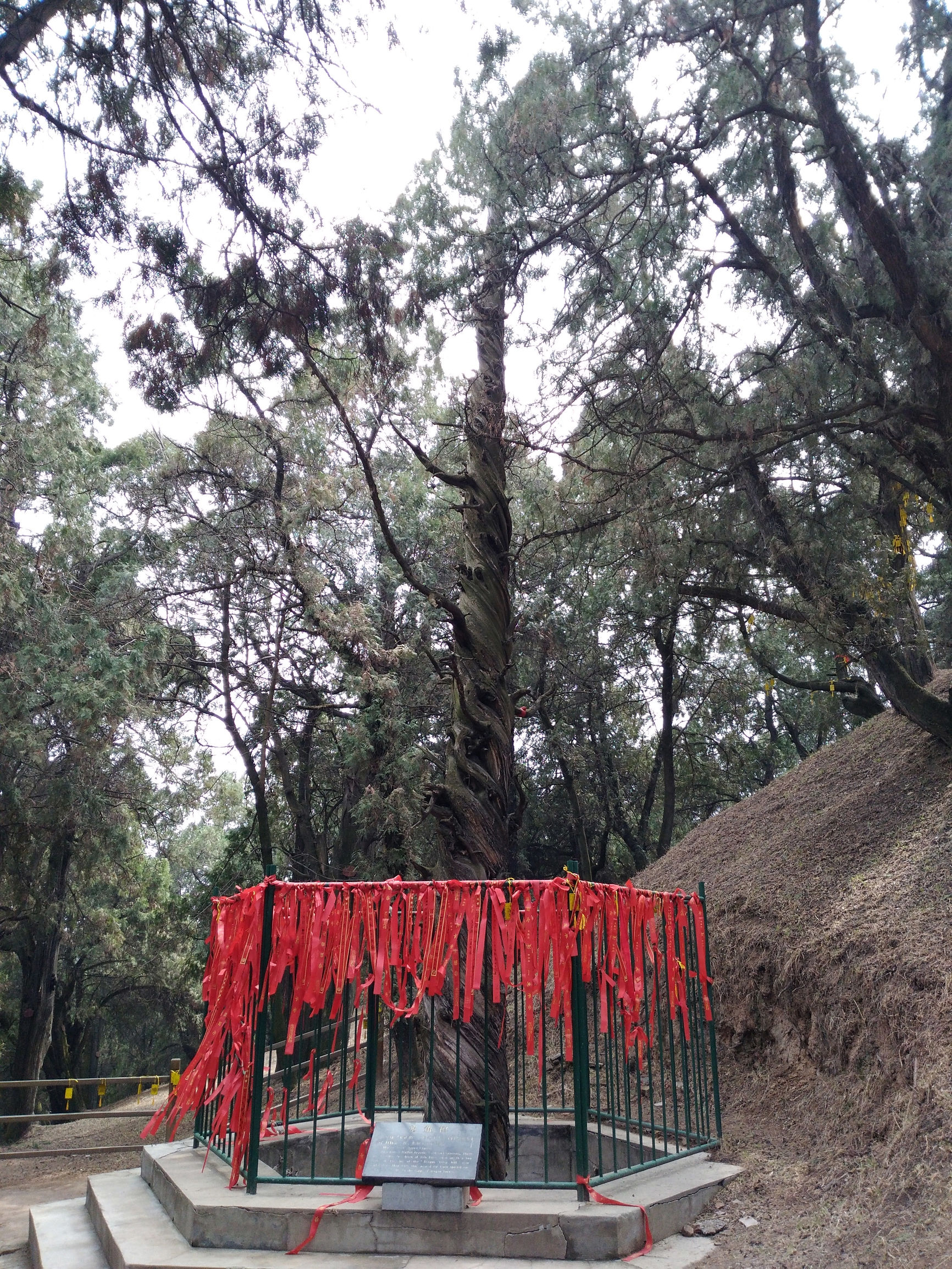 黄帝陵天下第一陵国务院古墓编号,黄帝陵天下第一陵图片