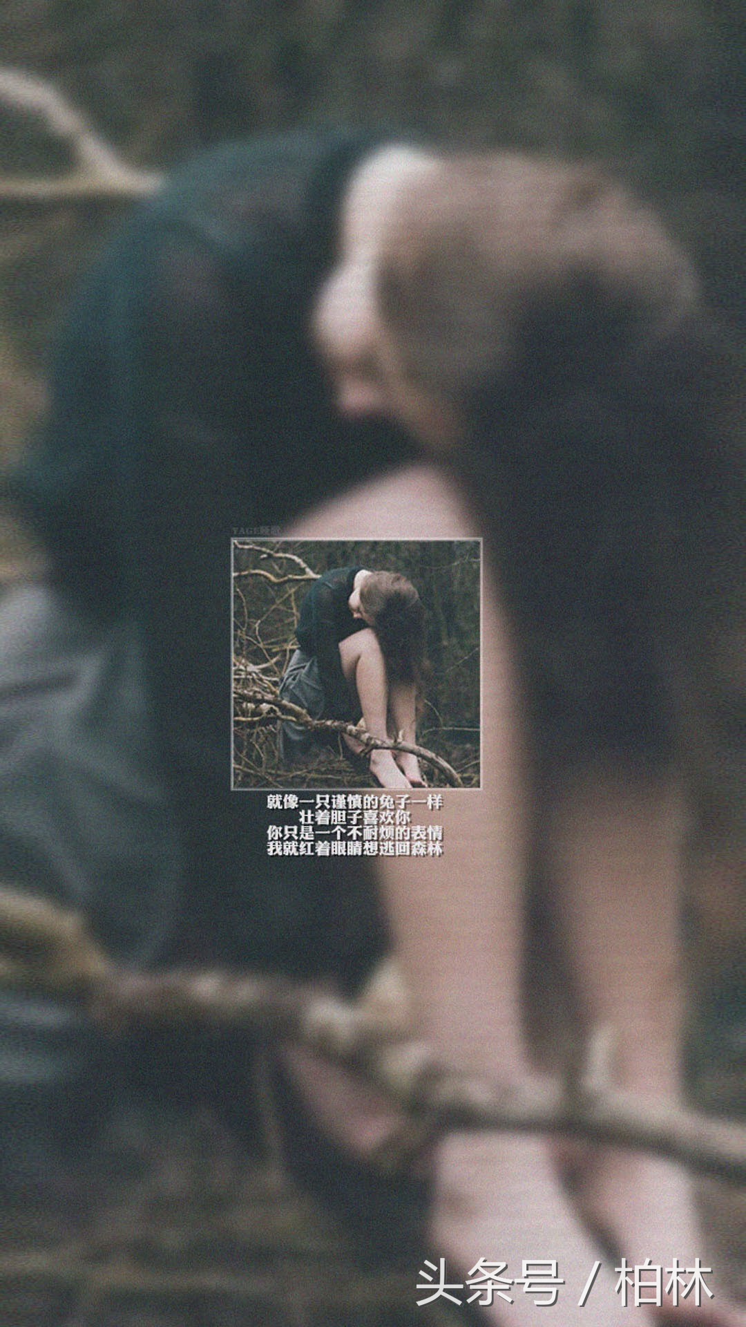 安妮宝贝关于爱情经典语录,安妮宝贝蔷薇岛屿经典语录