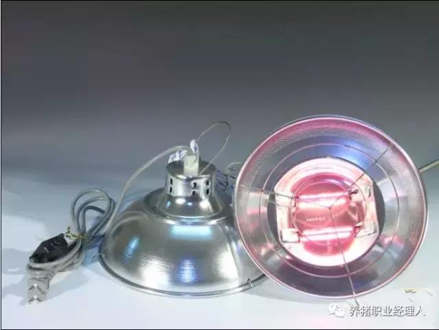 母猪断奶母猪要做什么处理,母猪断奶膘情不好怎么办