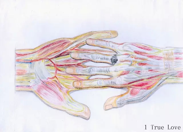 正所谓画骨画皮也画心,画皮画骨还画心