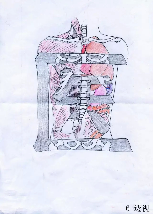 正所谓画骨画皮也画心,画皮画骨还画心