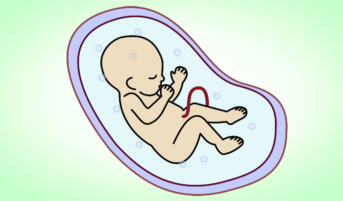 第一次做试管移植成功率高吗,试管内膜薄血流不好能怀孕吗