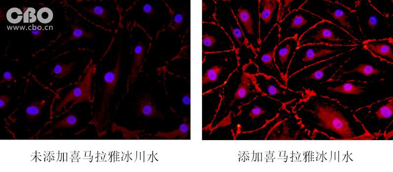 自然堂凝时冰肌水浑浊还是清澈,自然堂年销售