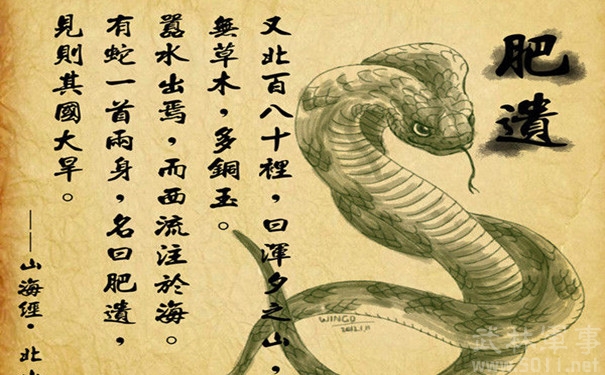 蛇不仅能增长杨过的内力，还能吓死苏东坡的小妾