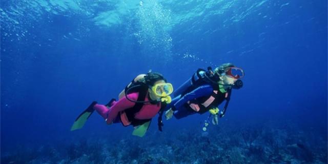 西铁城男表舒博钛光动能电波表,西铁城手表男舒博钛光动能手表