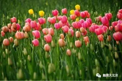 4月整整11天假！瓷器们，这些好消息请查收！