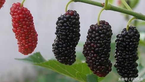 机器灵砍菜刀张卫,机器灵砍菜刀曲谱