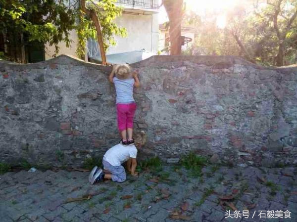 机器灵砍菜刀张卫,机器灵砍菜刀曲谱