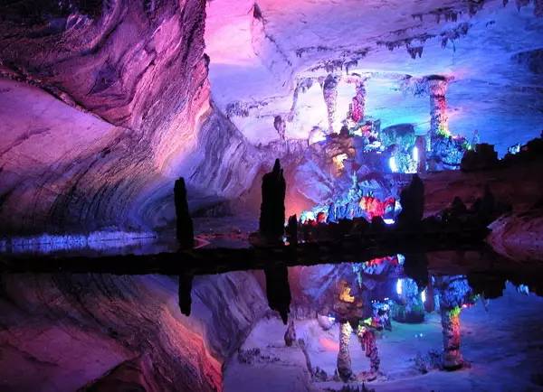 清明深圳周边一日游好去处,深圳仙湖植物园清明踏青赏花