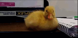 上课总想睡觉怎么解决,上课老想睡觉