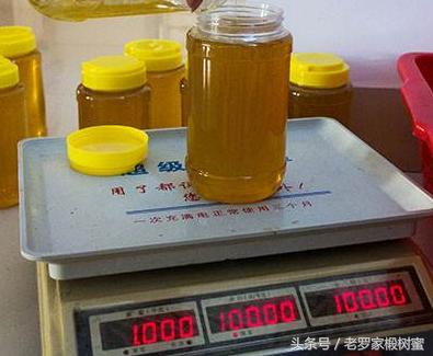 没有一种方法能辨别蜂蜜的真假,测蜂蜜浓度仪器