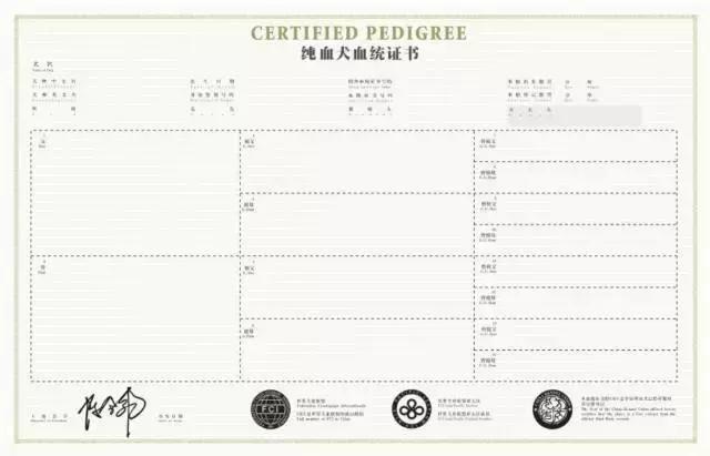 一梦谈狗：出生带了一张纸的狗狗就贵？这张纸是什么？