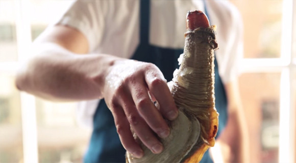 捕捞到各种鱼,捕捞到岸分拣